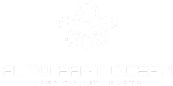 Auto Part Ocean Logo